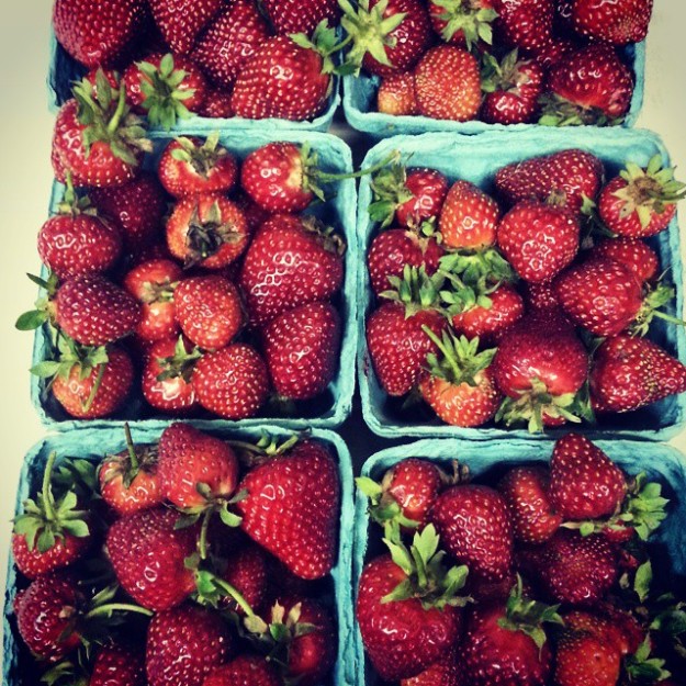 strawberryseason